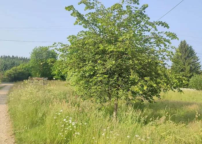 Au Coeur Des Bois A Monadiere *