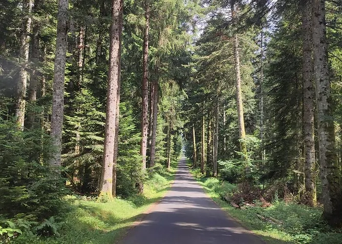 Au Coeur Des Bois A Monadiere