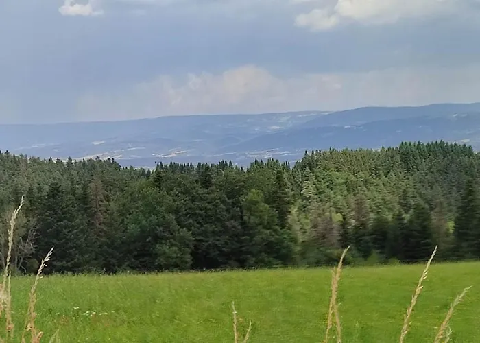 Au Coeur Des Bois A Monadiere Дом отдыха *